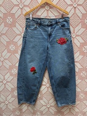 American Eagle Outfitters Blue Denim Jeans with Red Rose Embroidery